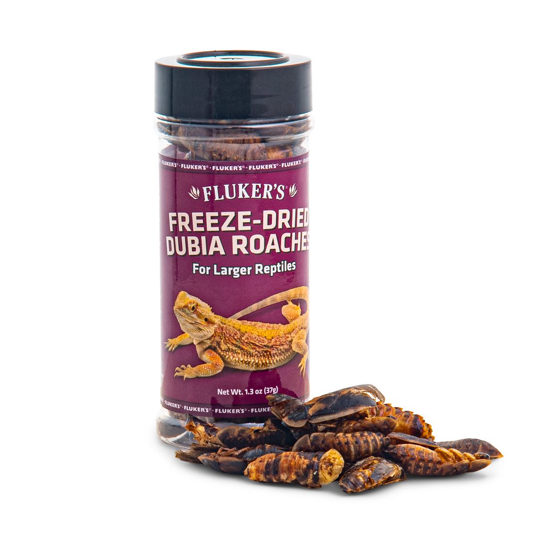 Fluker's Freeze-Dried Dubia Roaches 1.3 oz 091197720031