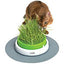 Hagen Catit Senses 2.0 Grass Planter Retail 43161w - Cat