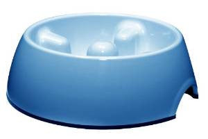 Hagen Dogit Go Slow Anti - gulping Bowl Blue Large 73731 - Dog