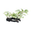 Hagen Fluval African Shade Leaf Ornament 12in Pp1619{L+7} 080605116191