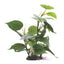 Hagen Fluval Anubias Plant 12in Pp1601{L+7} 080605116016