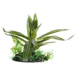 Hagen Fluval Giant Sagittaria Plant 4in Pp1620{L+7} 080605116207