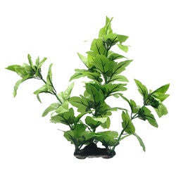 Hagen Fluval Lizard’s Tail Plant 16in Pp1611{L + 7} - Aquarium