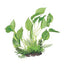 Hagen Fluval Marbled Anubias Plant 9.5in Pp1607{L+7} 080605116078