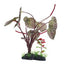 Hagen Fluval Red Lotus Plant 10in Pp1615{L+7} 080605116153