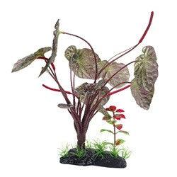 Hagen Fluval Red Lotus Plant 10in Pp1615{L+7} 080605116153