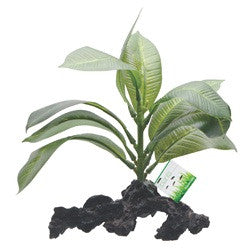 Hagen Fluval Stemped Anubias Ornament 7in Pp1604{L+7} 080605116047