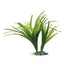 Hagen Fluval Striped Acorus Plant 10in Pp1610{L+7} 080605116108