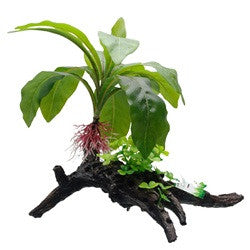 Hagen Fluval Striped Anubias Ornament 13.5in Pp1608 080605116085