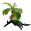 Hagen Fluval Striped Anubias Ornament 13.5in Pp1608 - Aquarium