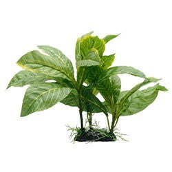 Hagen Fluval Striped Spathiphyllum Plant 9in Pp1609{L+7} 080605116092