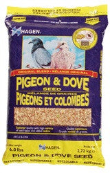 Hagen Pigeon & Dove Staple Vme 6# B2704 - Bird
