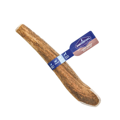Barkworthies Whole Elk Antler Dog Treat Large 840139126697