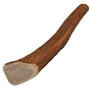 Health Extension Whole Antler Small {L + 1}587096 - Dog