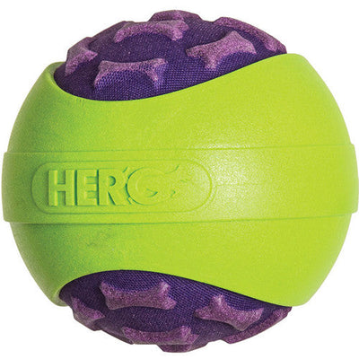 Hero D Outr Armor Ball Prpl Lg{L - xR} - Dog