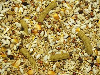 Higgins Australian Hookbill Bird Food 25lb{L-1}466132 046706301140