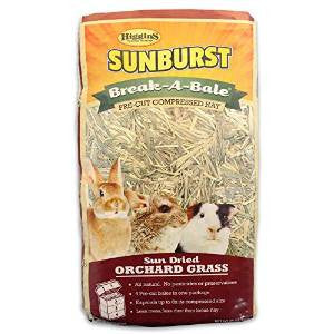 Higgins Sunburst Break - A - Bale Orchard Grass 35oz {L + 1}466049 - Small - Pet