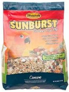 Higgins Sunburst Conure 25lb {L-1}466185 046706302338