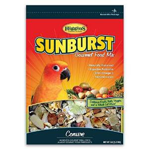 Higgins Sunburst Conure 3lb {L + 1} 466181 - Bird