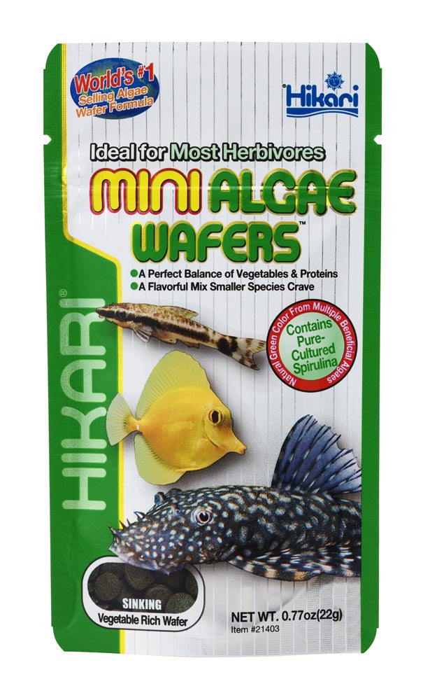 Hikari Algae Wafers Sinking Wafer Fish Food 0.77 oz Mini