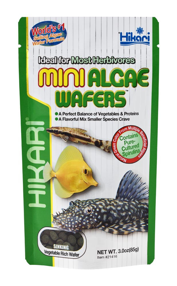 Hikari Algae Wafers Sinking Wafer Fish Food 3 oz Mini