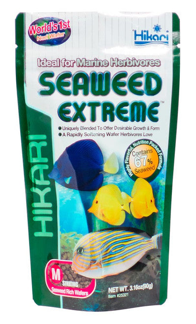 Hikari Seaweed Extreme Wafer Fish Food 3.16oz MD - Aquarium