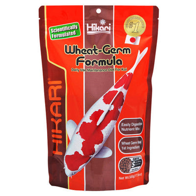 Hikari Wheat - Germ Floating Pellet Fish Food for Koi Goldfish and Other Pond Fishes 17.6oz Mini - Aquarium