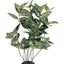 Houttoynia Cordata Silk 12in Pp192{L + 7} - Aquarium