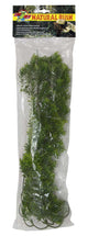 Zoo Med Natural Bush Borneo Star Plants Green 22 in, Large 097612180374