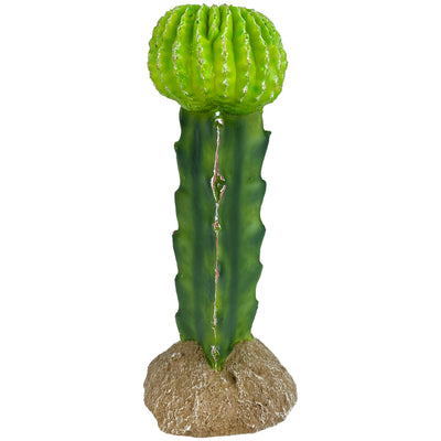 Komodo Cactus Plant Moon 7.5 in 784369933253