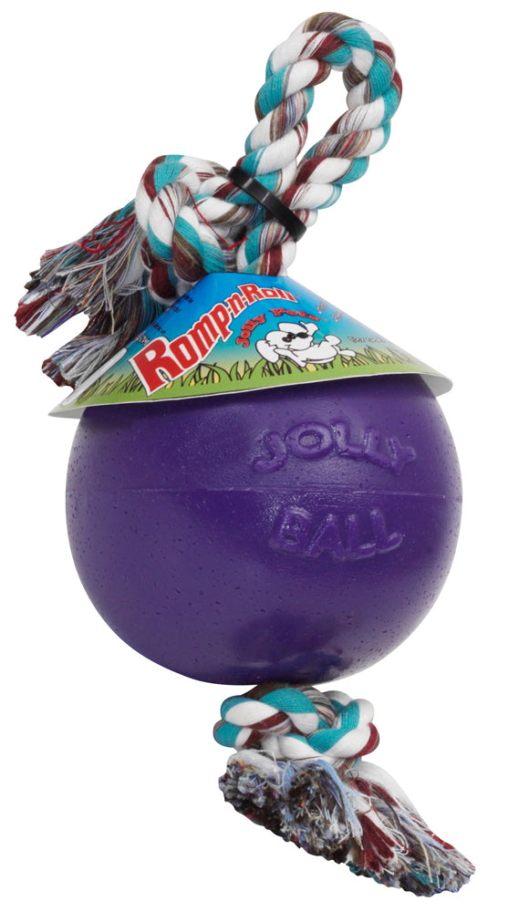 Jolly Pet Romp-n-Roll Dog Toy Durable Purple Small, 4.5 in 788169064551