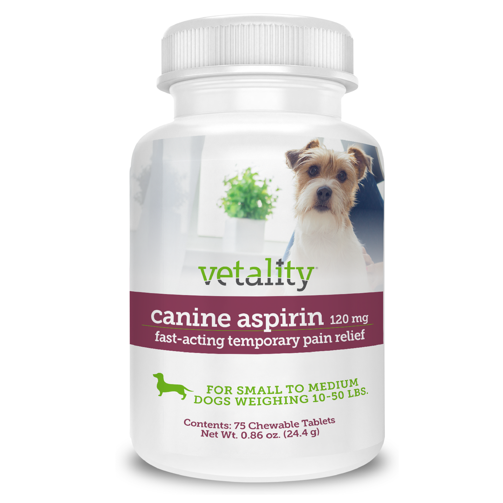 Vetality Canine Aspirin Chewable Tables 120mg 75 ct 190623300622