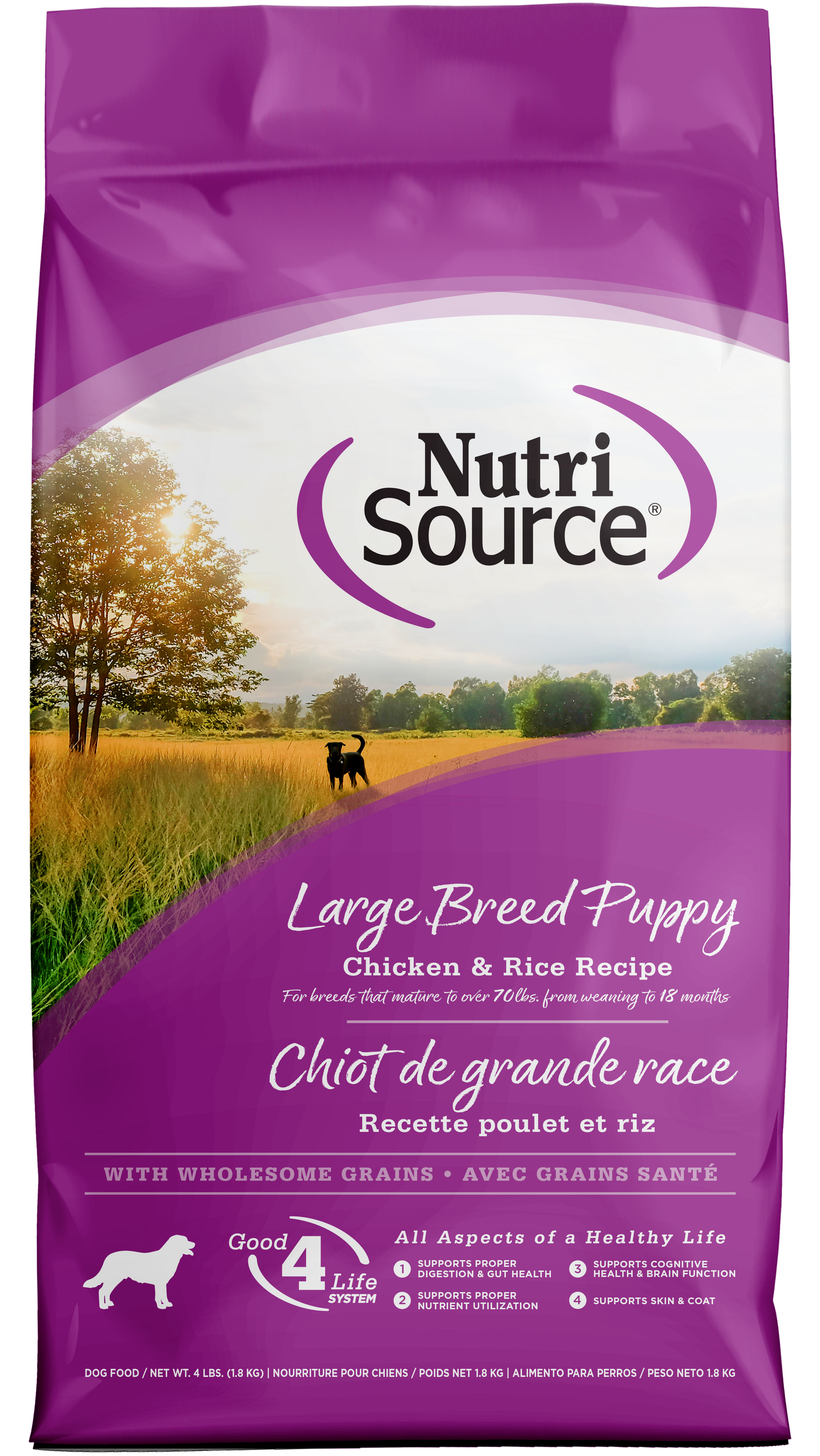 NutriSource Large Breed Puppy Dry Dog Food Chicken & Rice 4 lb 073893264064