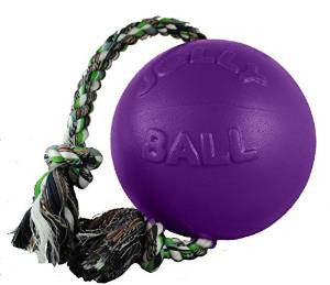 Jolly Pets Romp-N-Roll Purple 6" {L+1}881035 788169060652