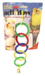 JW Pet ActiviToy Olympia Rings Bird Toy Multi - Color SM/MD