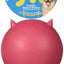 JW Pet Bad Cuz Dog Toy Assorted LG