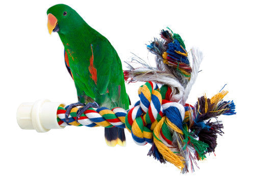 JW Pet Byrdy Bush Multi - Color LG - Bird