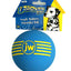 JW Pet iSqueak Ball Dog Toy Assorted LG