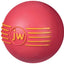 JW Pet iSqueak Ball Dog Toy Assorted MD