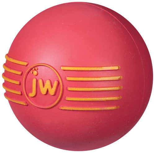 JW Pet iSqueak Ball Dog Toy Assorted MD