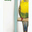 JW Pet Sand Perch Assorted SM - Bird