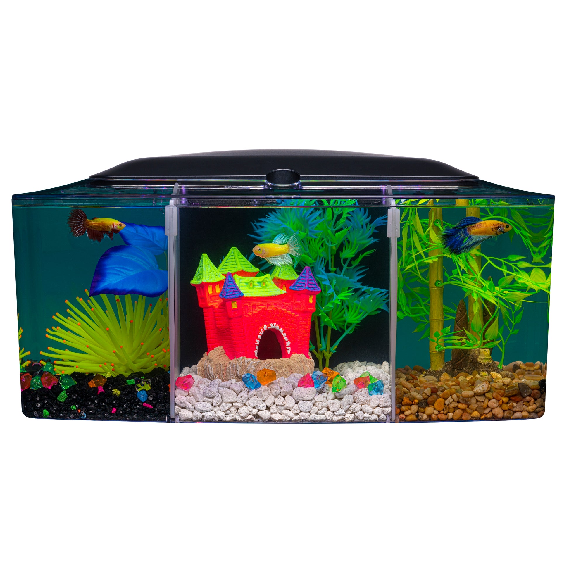 GloFish Betta Trilogy Aquarium 3 gal 046798784081