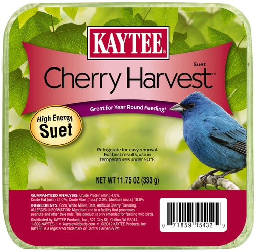 Kaytee Cherry Harvest High Energy Suet 11.75 Ounces - Bird