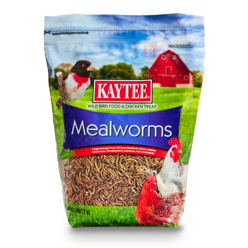 Kaytee Mealworm Food Pouch 32 Ounces - Bird