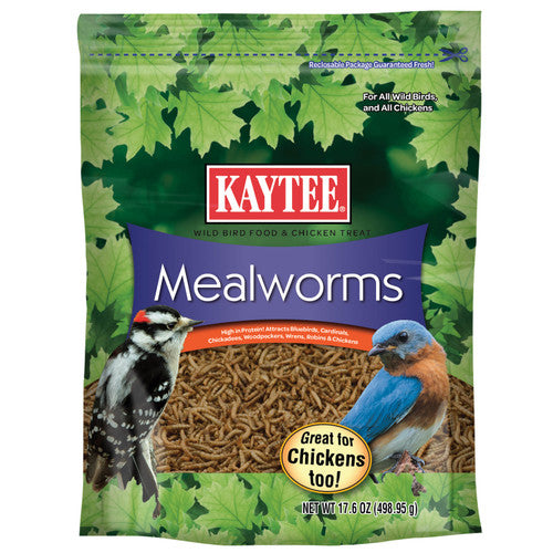Kaytee Mealworm Food Pouch for Wild Birds 17.6 Ounces - Bird
