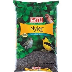 Kaytee Nyjer Seed 8lb {L-2} C= 071859930329