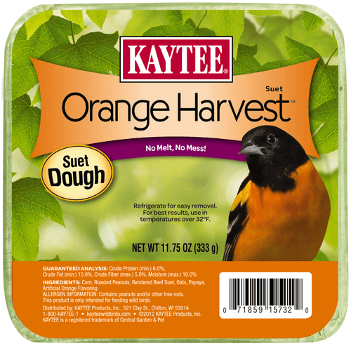 Kaytee Orange Harvest Suet Dough 11.75 Ounces - Bird