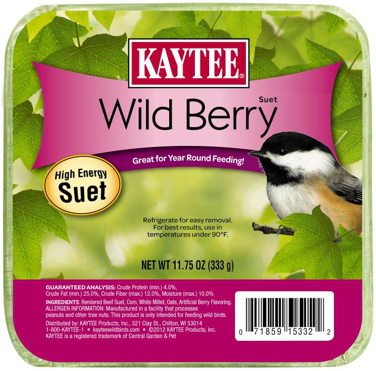 Kaytee Wild Berry High Energy Mini Suet 11.75 Ounces