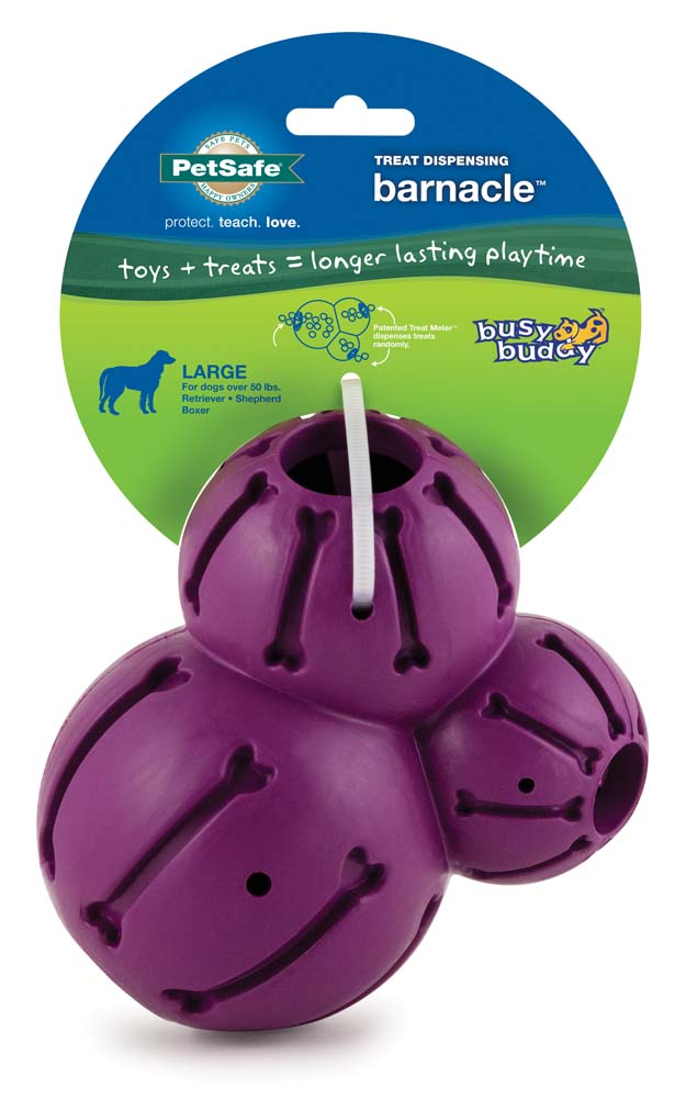 Busy Buddy Barnacle Dog Toy Purple Large 759023096162
