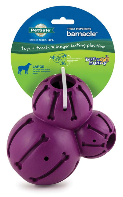 Busy Buddy Barnacle Dog Toy Purple Large 759023096162